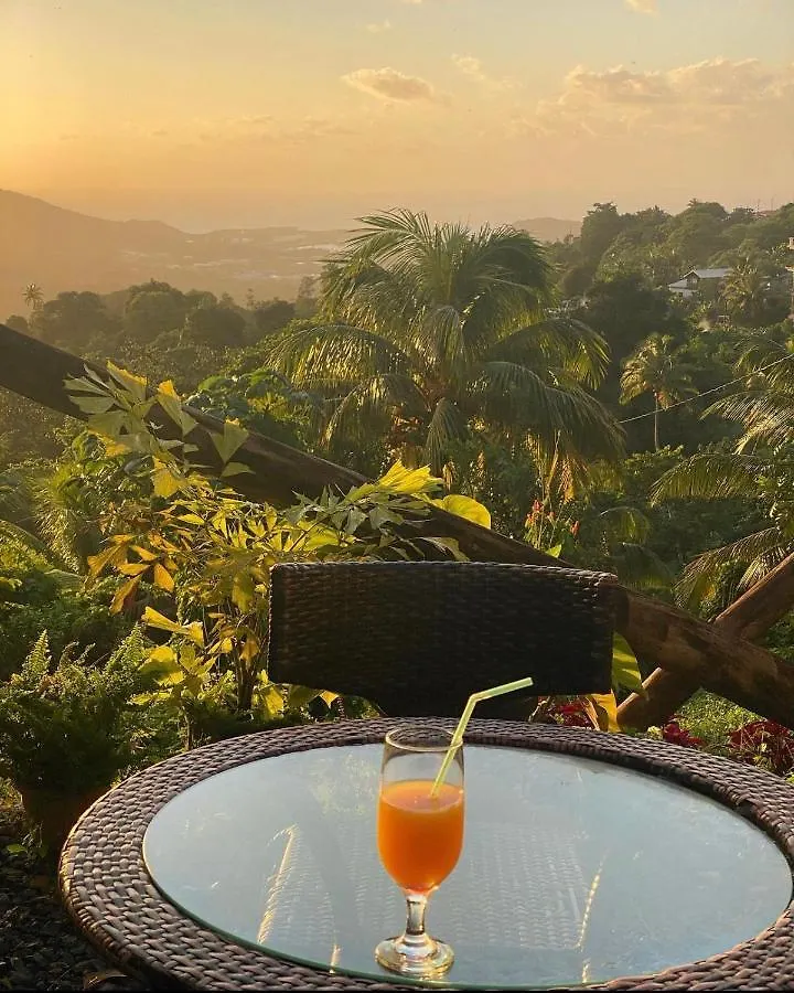 Bed and breakfast Blu Vista Cottages Castries Santa Lucía