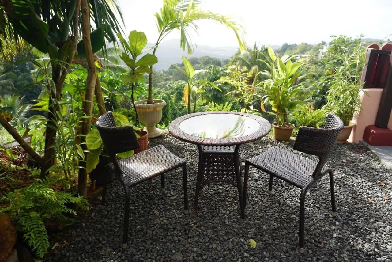 Blu Vista Cottages Castries