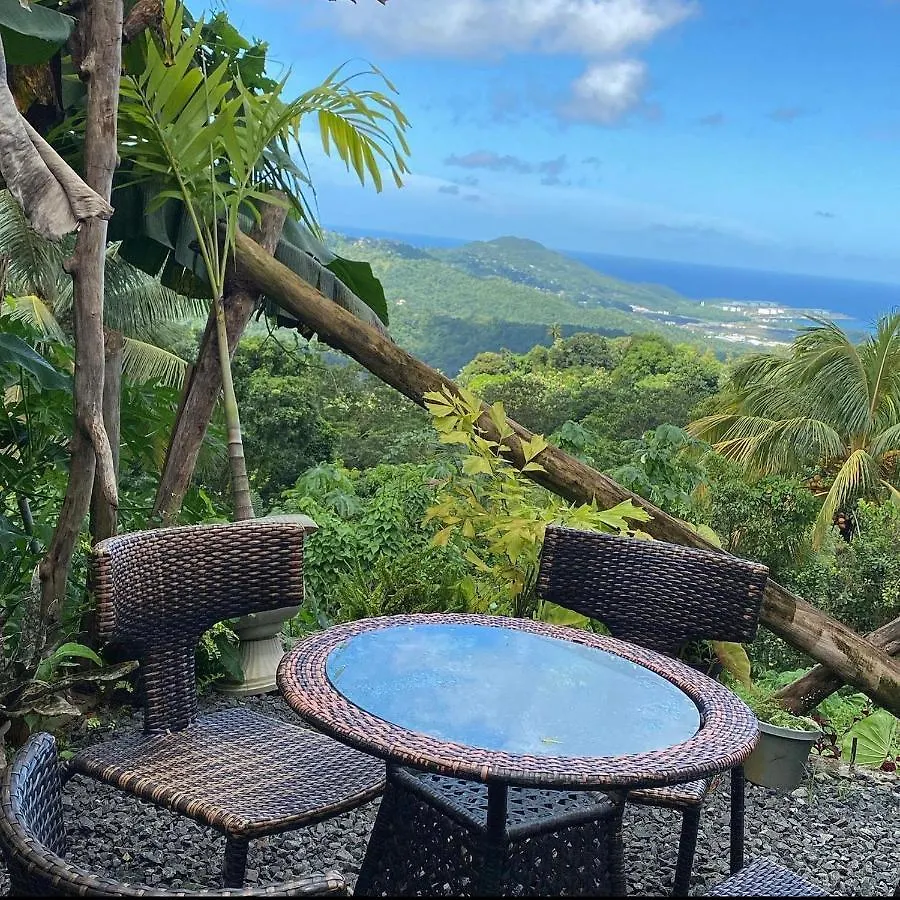 Blu Vista Cottages Castries