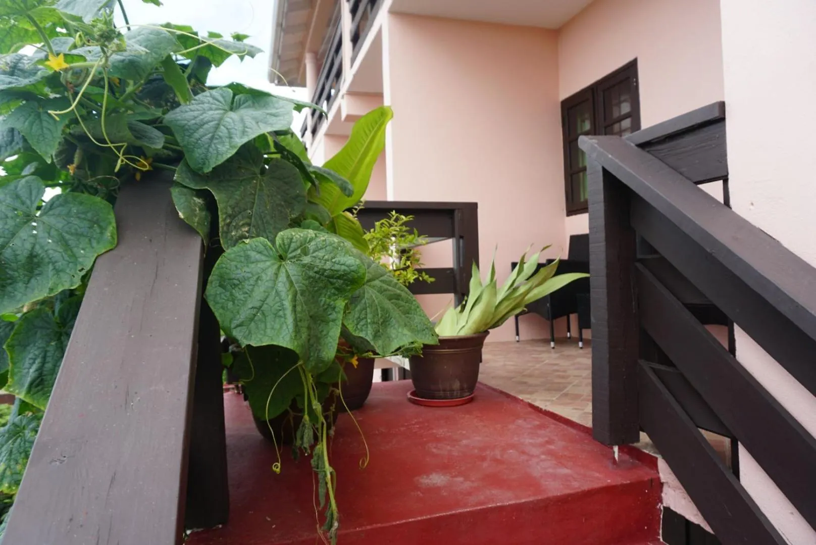 Bed and breakfast Blu Vista Cottages Castries